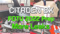 Citroen BX Leaks